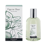 FRAGONARD Figuier Fleur